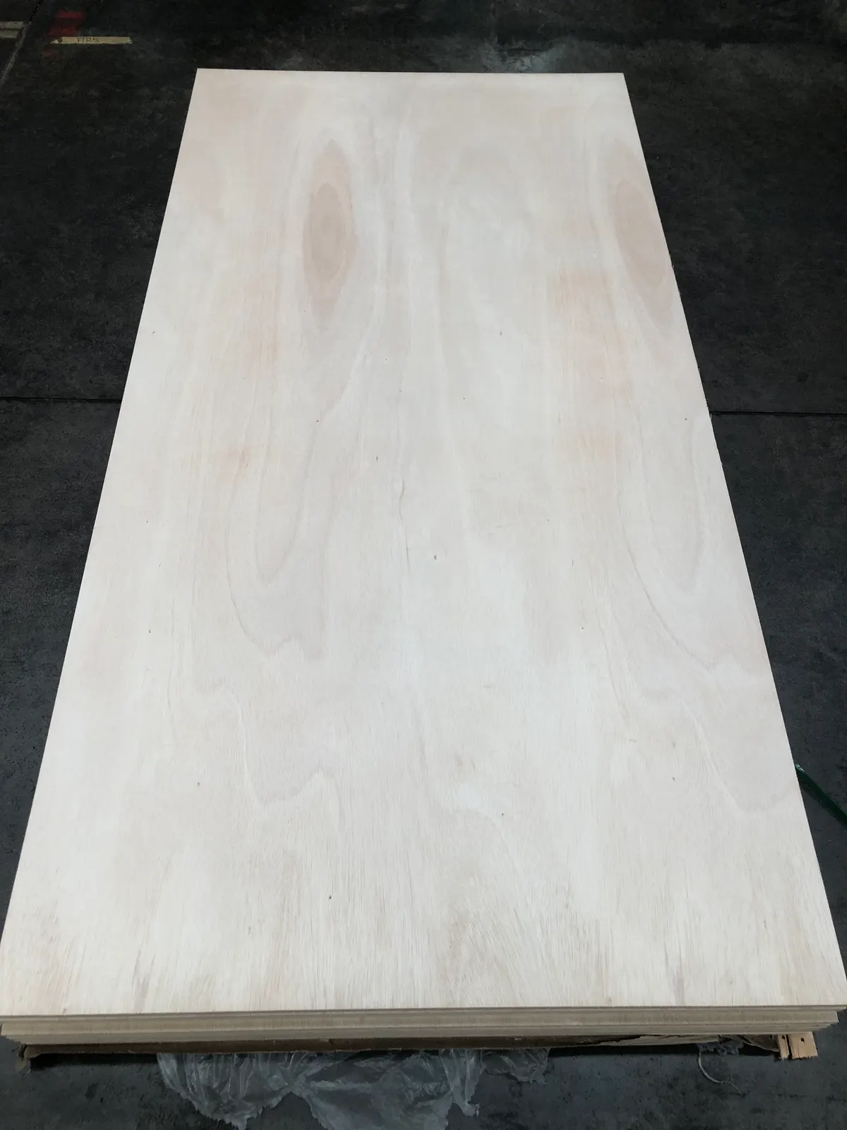 Falcata plywood sheet face - clean, uniform pale veneer