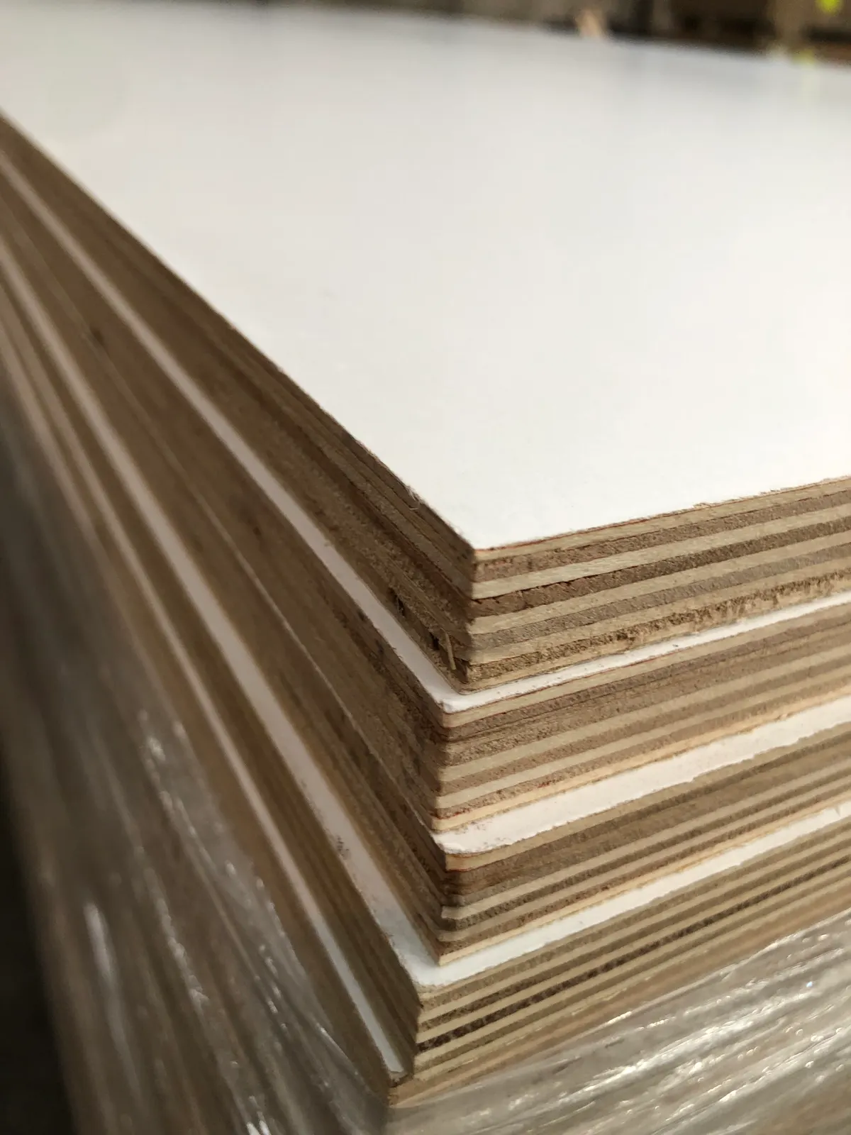 Melamine plywood edge close-up showing poplar ply core